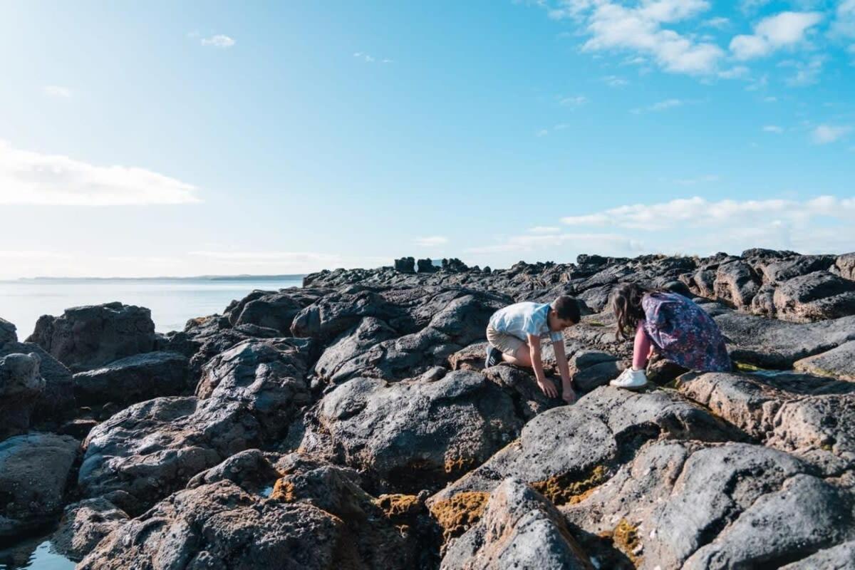 Takapuna Beachfront W Stunning Views Auckland Dış mekan fotoğraf